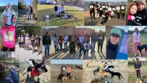 Just a few of the amazing people and pups who took part in Day of the Morocco Dog