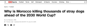 Traduction française de l’article CNN d’aujourd’hui sur les chiens et la Coupe du Monde au Maroc