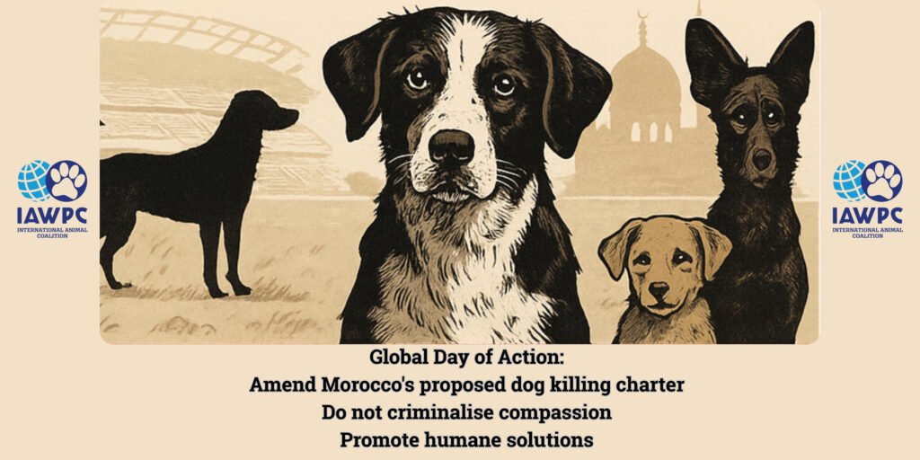 Day of action banner English