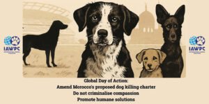 Day of action banner English