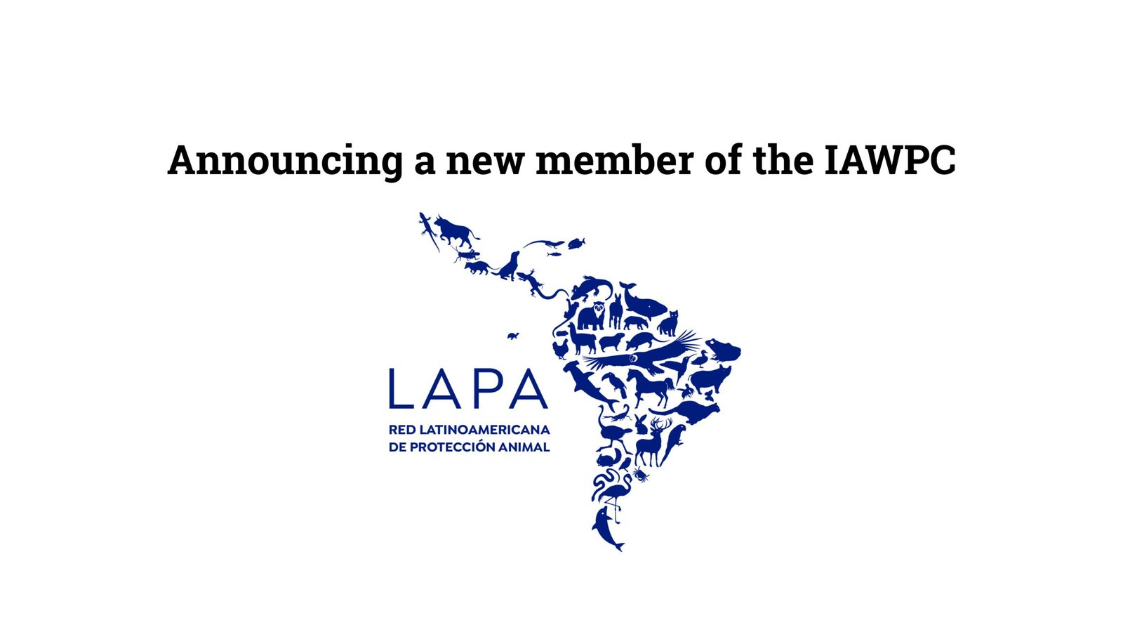 LAPA announcement