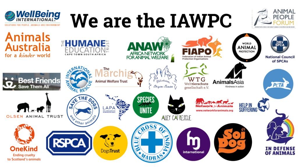 We are IAWPC updated