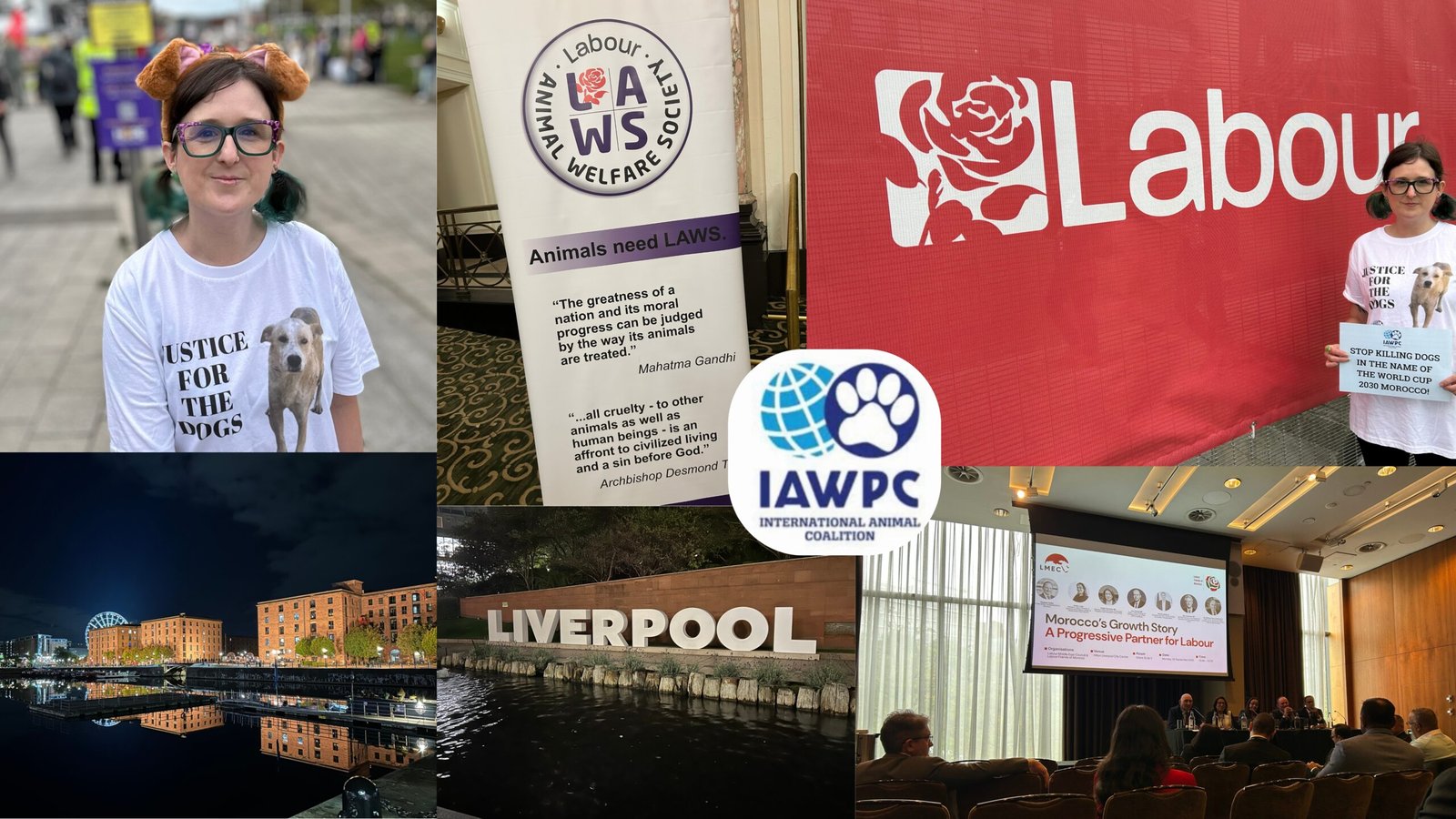 Collage Labour Conference