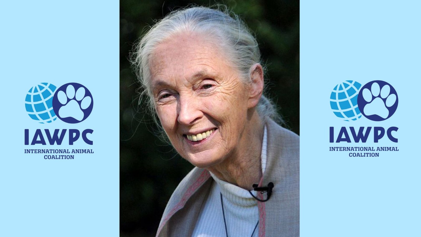 Jane Goodall